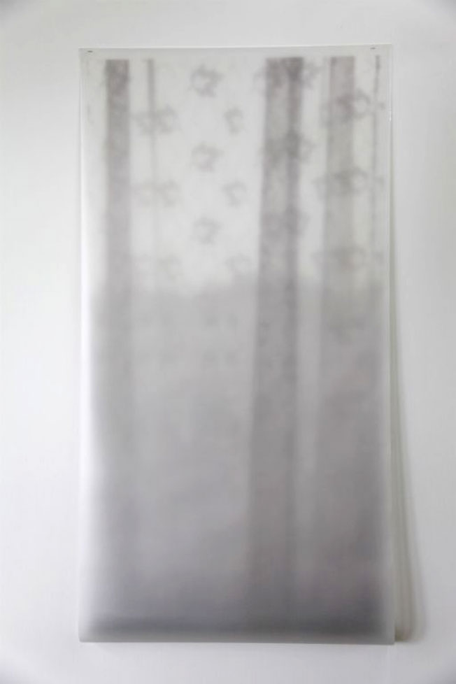Net curtain 2013, photo on semi-opaque film, tracing paper, 175 x 91cm